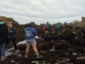 There were some marine biologist students studying the tidal pools as well.